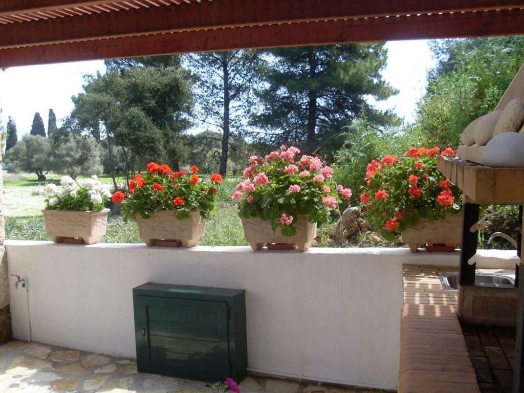 Villa Amelia Metaxata Exterior photo
