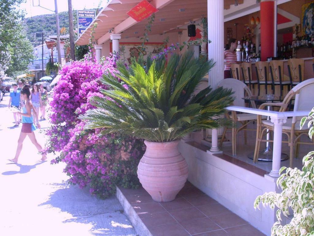 Villa Amelia Metaxata Exterior photo